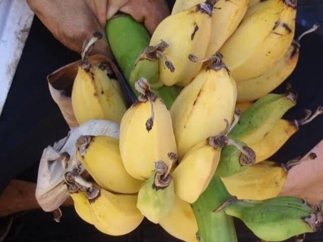 Alert: Nairobians Consuming Poisoned Bananas