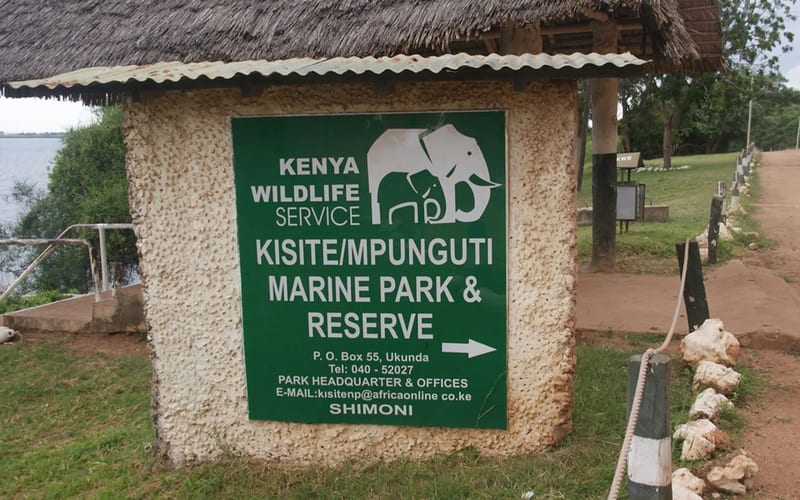 Discover the Beauty of Kisite Mpunguti Marine National Park and Reserve Entry Fees