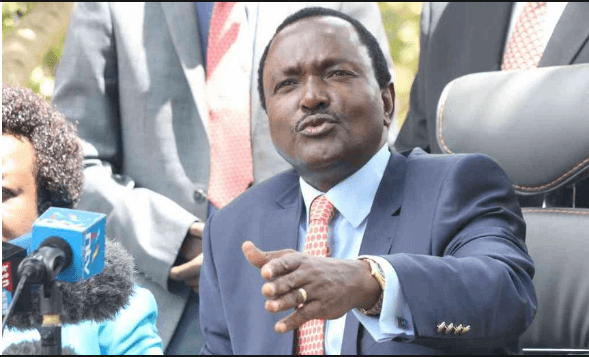 Kalonzo: Why I Am Opposed To Constitutional Amendments