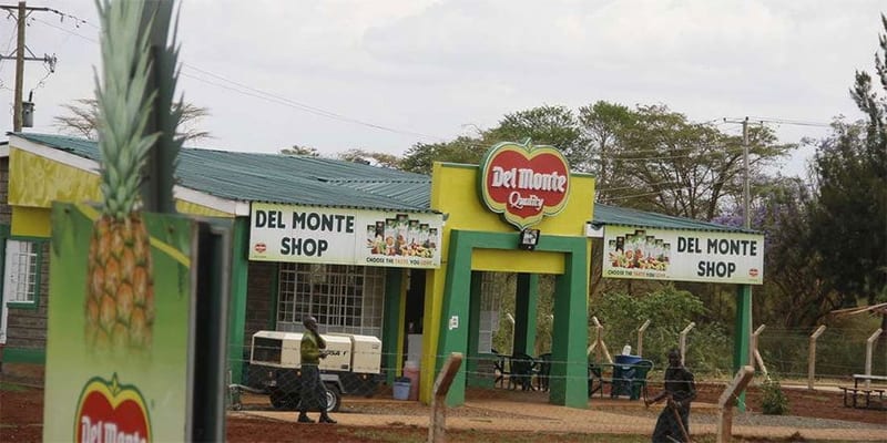 Kiambu Governor Ferdinand Waititu Under Fire From Kiambu Residents Over Del Monte Deal