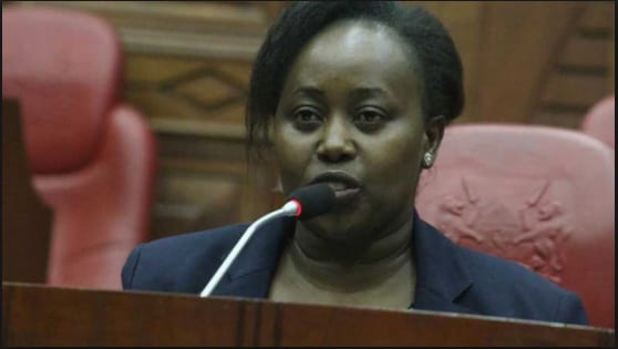 Emma Muthoni :Meet The NLC Commissioner Behind The Fake Squatters and Land Grabbing Cartels