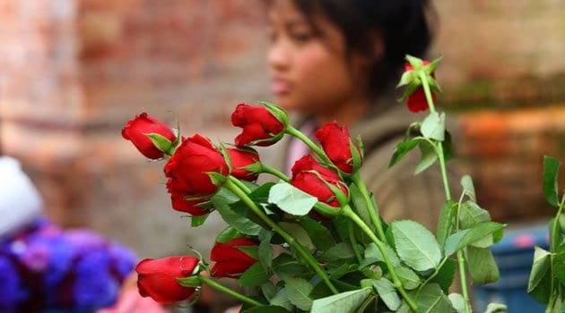 ROSES