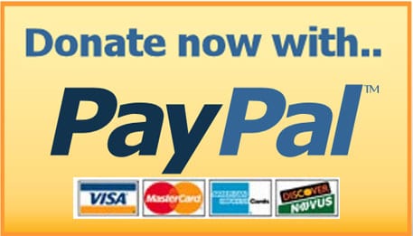 paypal