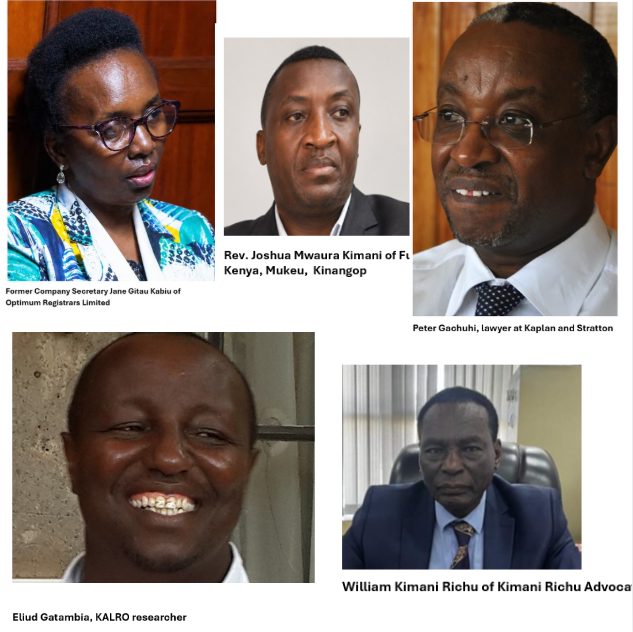 Petitioners Accused of Sidestepping Core Evidence in Karugu Estate Will Dispute