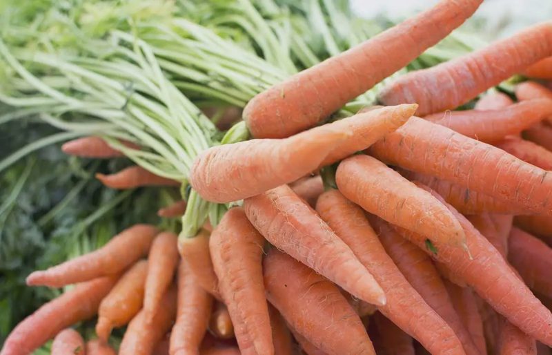 Carrot-farming