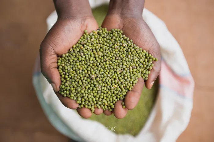 njahi-farming-in-kenya-farmers-trend