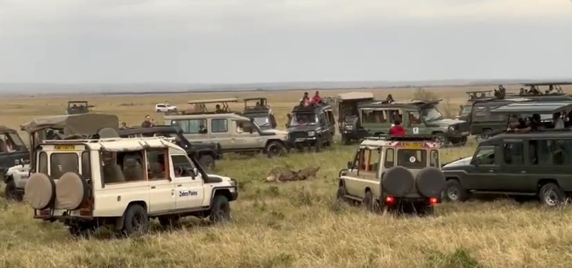 maasaimara