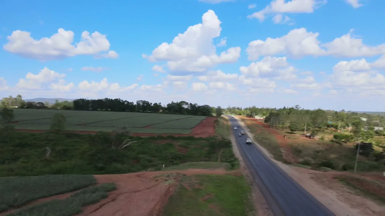 Del Monte pineapple farm in Kilimambogo