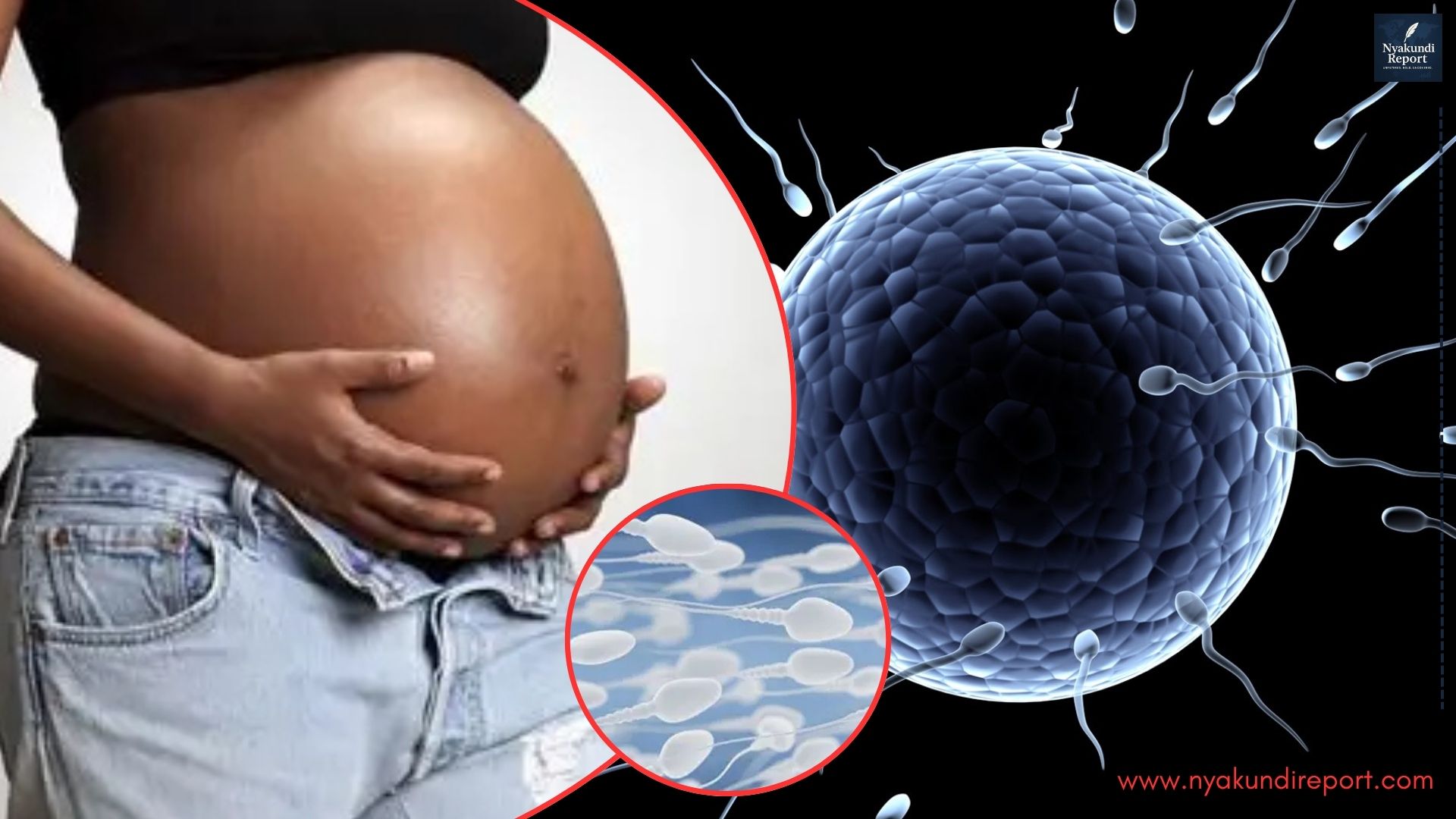 New Sperm Donors Bill Threatens Hefty Ksh10 Million Fine for Donors and Surrogates in Kenya