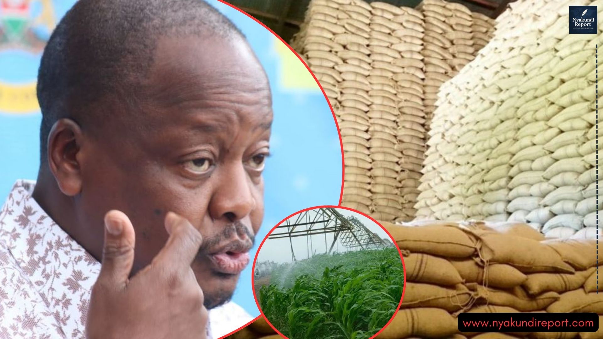 Mutahi Kagwe Under Fire Over Ksh4 Billion Maize Subsidy Scandal