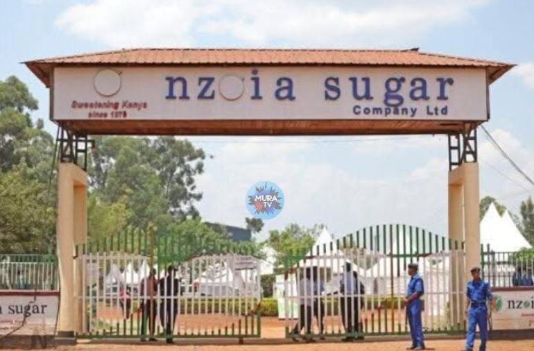 Ex-Nzoia Sugar staff in Bungoma appeal for the release of long-pending settlements, citing unpaid salaries, severance pay, and provident fund contributions.