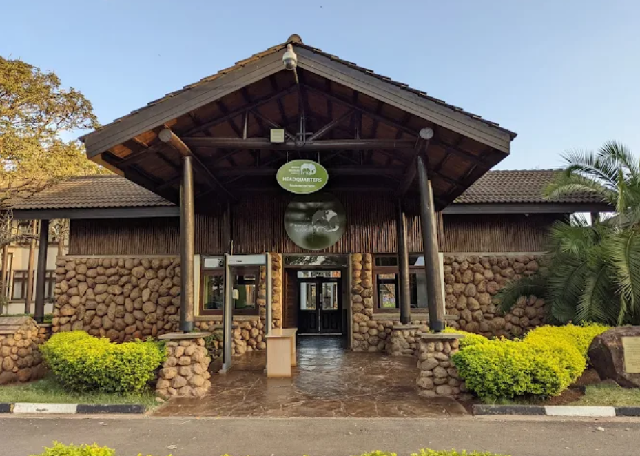 Internal turmoil at the Kenya Wildlife Service has raised concerns over its ability to manage conservation efforts effectively, with officers warning the agency is at serious risk of collapse.