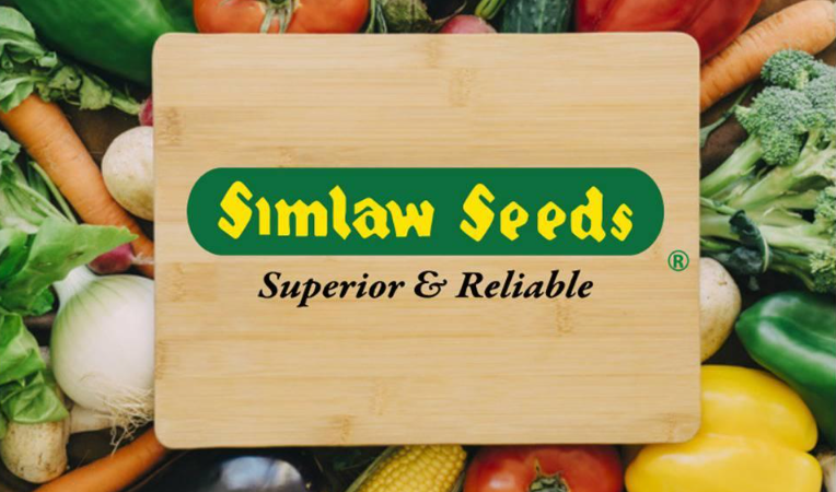 Simlaw Seeds employees report low pay, tribal favoritism, and unfair contract terminations across the leading seed company.