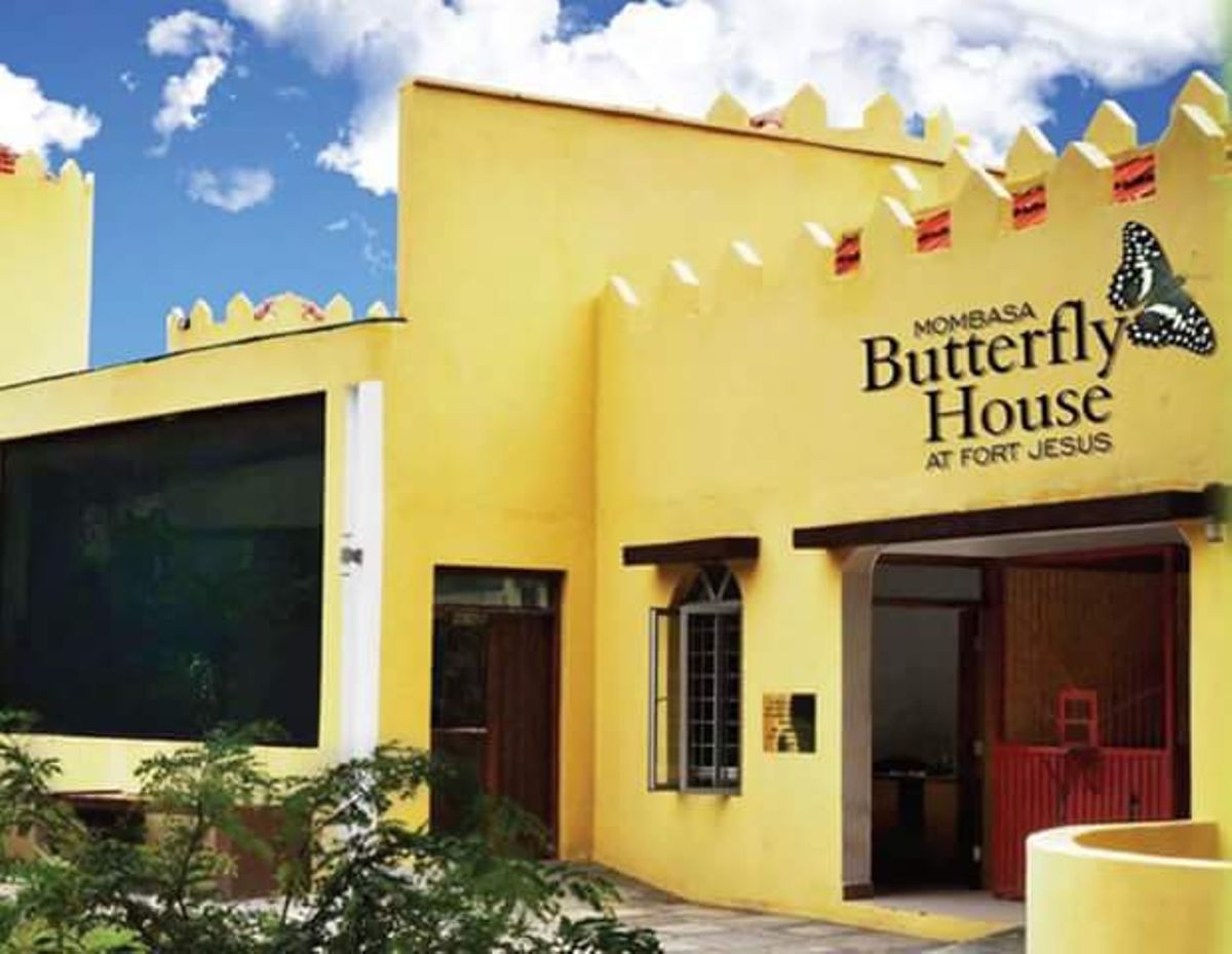 Guide to Mombasa Butterfly House Entrance Fees