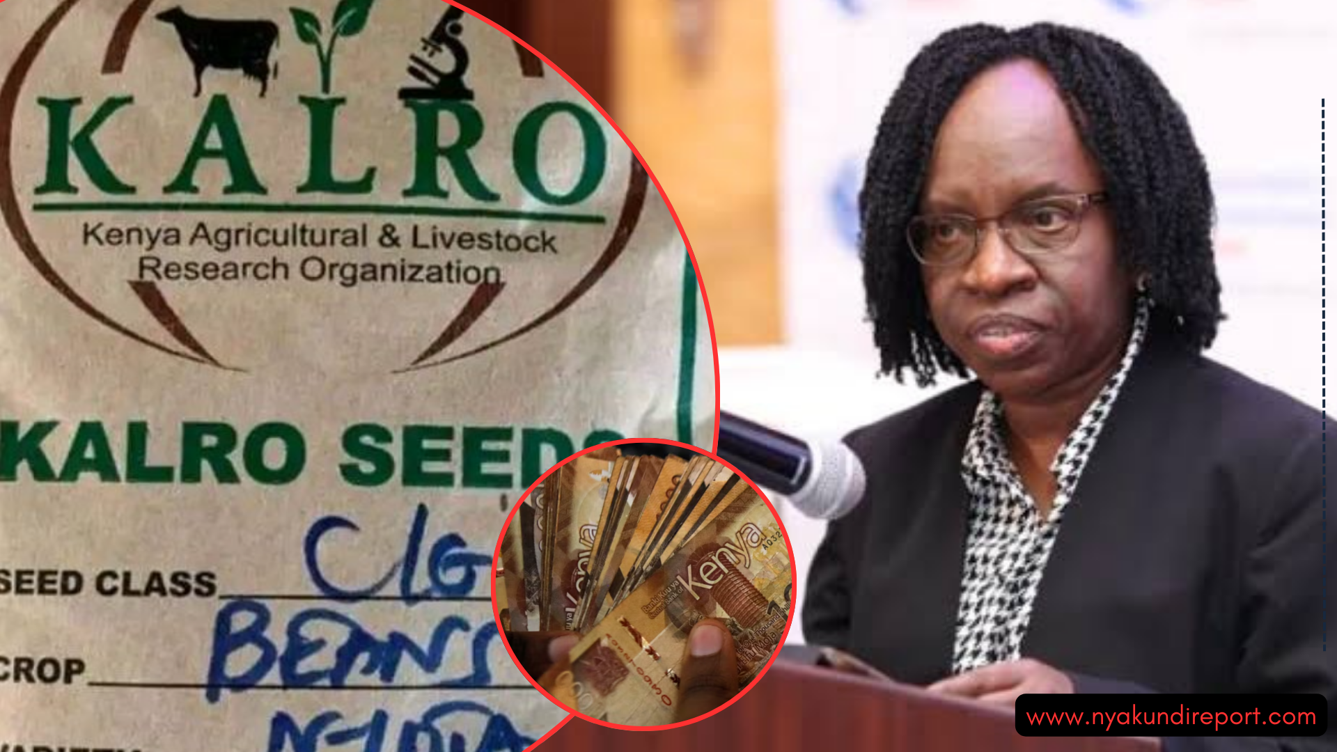 Audit Reveals KALRO Bank Accounts Operate 191 Channels as MPs Raise Concerns Over Possible Fund Siphoning