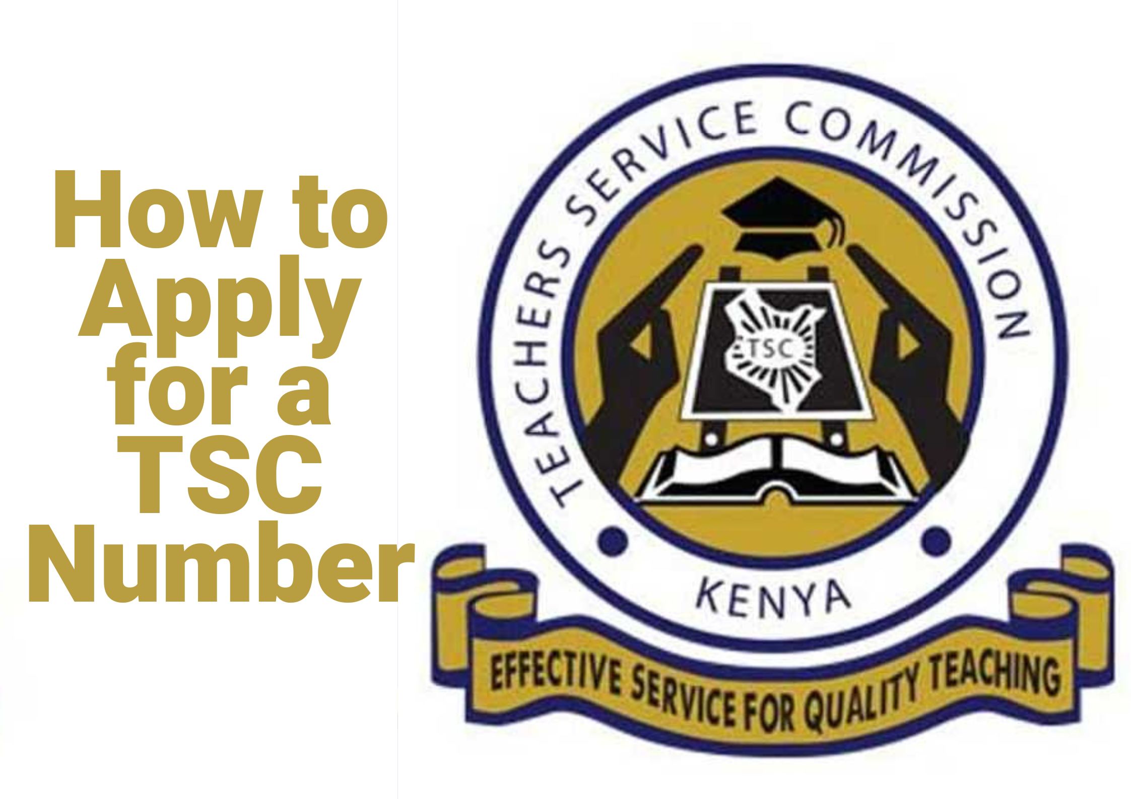 TSC Number Application Requirements and Process Guide in Kenya